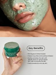 AXIS-Y Mugwort Pore Clarifying Wash Off Mask 100ml